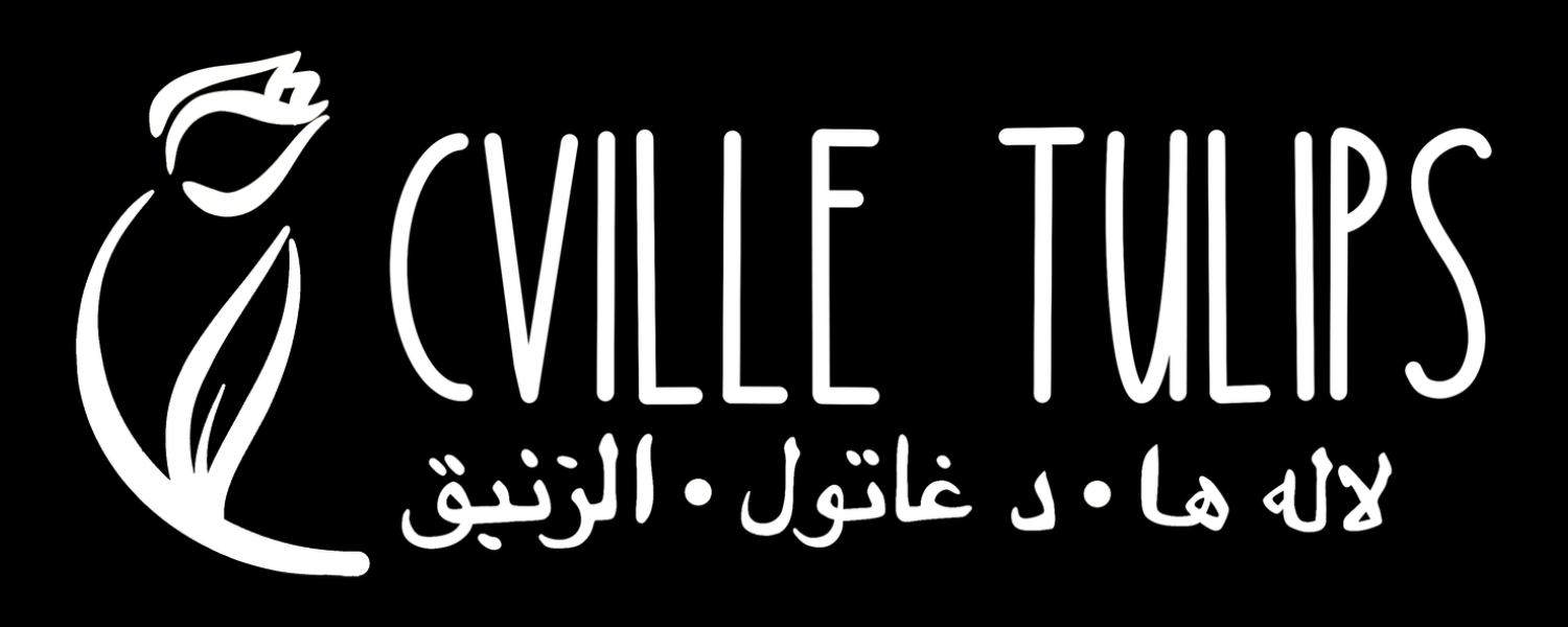 Cville Tulips logo